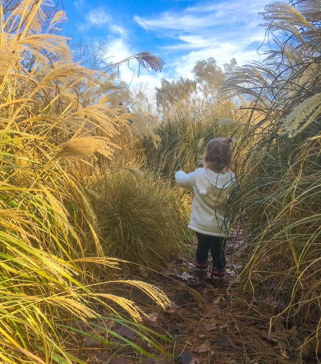 For Mar Nature Preserve