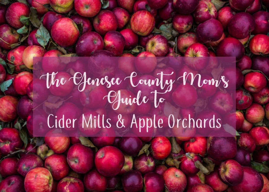 The Genesee County Mom’s Guide to Cider Mills & Apple Orchards