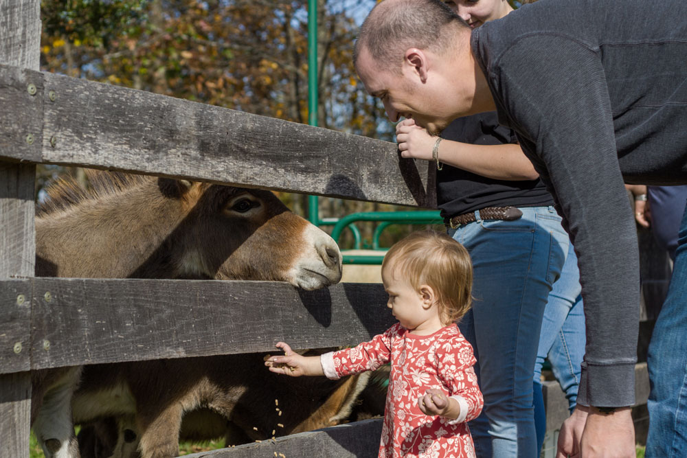 What I’ll Miss About Mid-Michigan