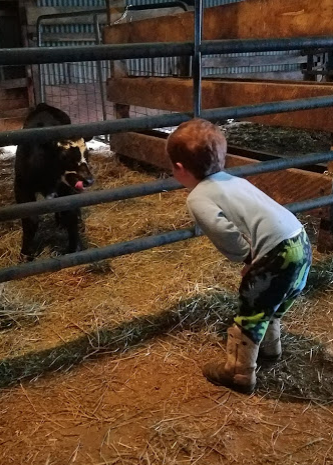 Raising Animals teaches compassion and responsibility