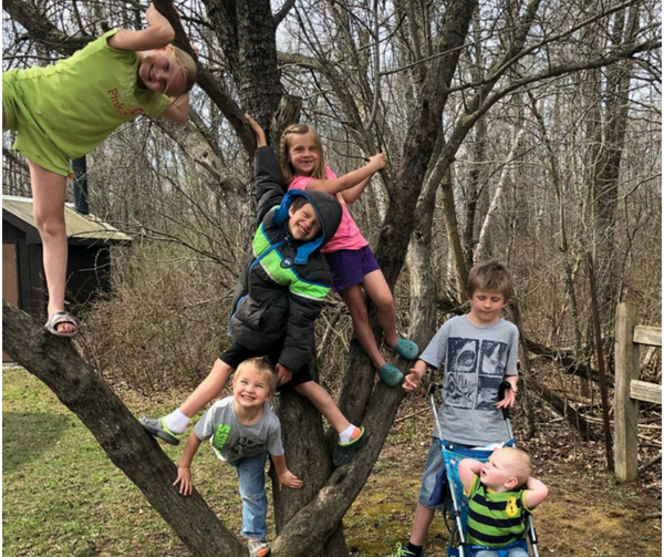 Summer Day Trip: Sanilac Petroglyphs Historic State Park