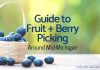 Guide to Fruit + Berry Picking Around Mid-Michigan fruit-picking