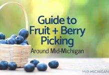 Guide to Fruit + Berry Picking Around Mid-Michigan fruit-picking