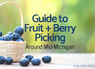 Guide to Fruit + Berry Picking Around Mid-Michigan fruit-picking