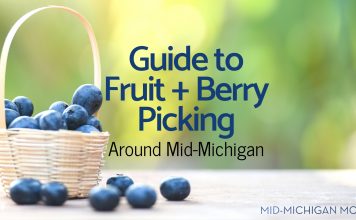 Guide to Fruit + Berry Picking Around Mid-Michigan fruit-picking