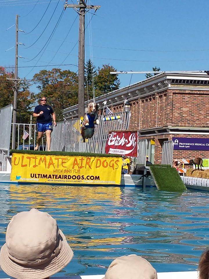 Pumpkinfest