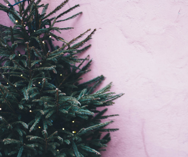 Special Holidays with our Special Needs Home