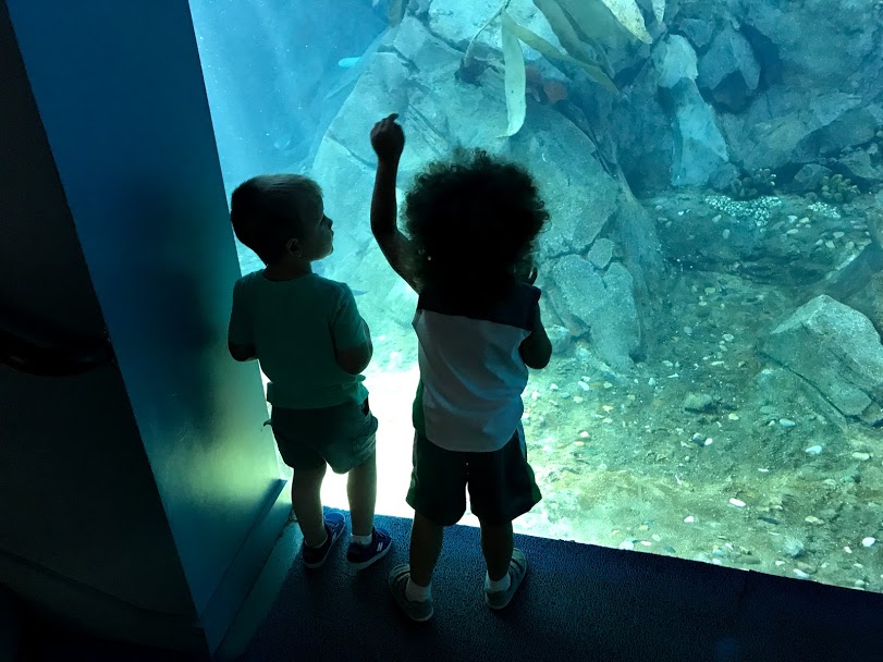 lonely only Kids at aquarium, lonely only