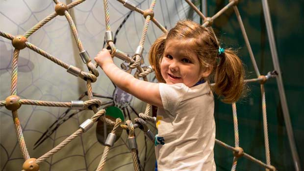 5 Tips to Make The Sloan Museum’s Rainforest Adventure Maze & Tropical Odyssey Exhibit a Family Hit!