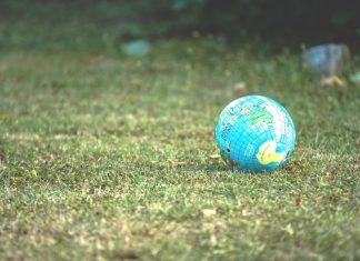 Kid-Friendly Activities to Help You Celebrate Earth Day