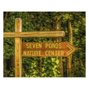 Lovegrove's Cake and Candy Center (4)