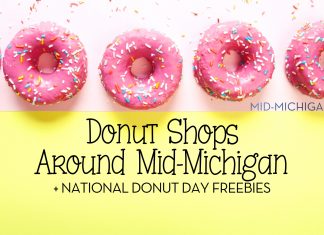 Donut Shops Around Mid-Michigan + National Donut Day Freebies! donut