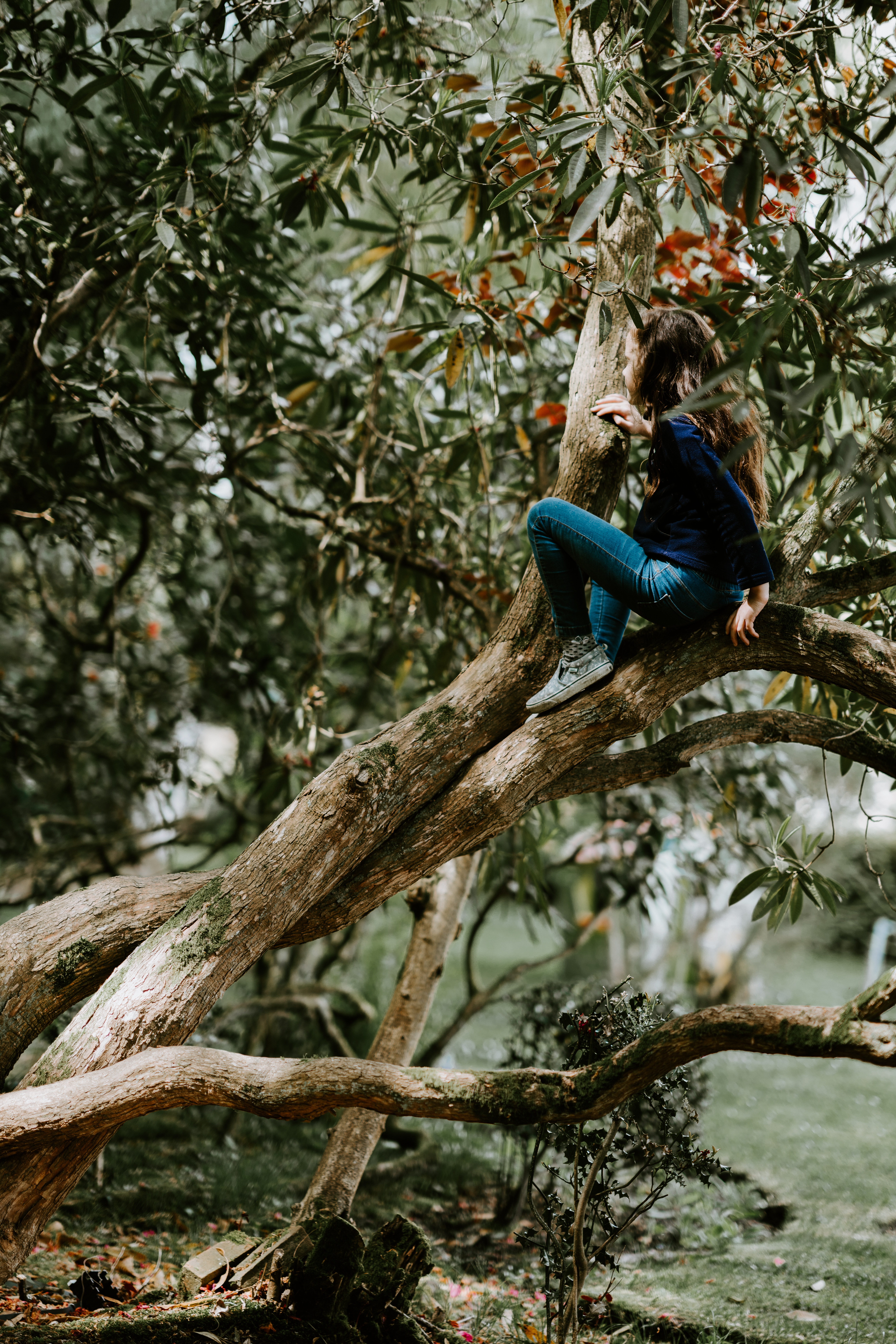 Child climbing a tree, controlling