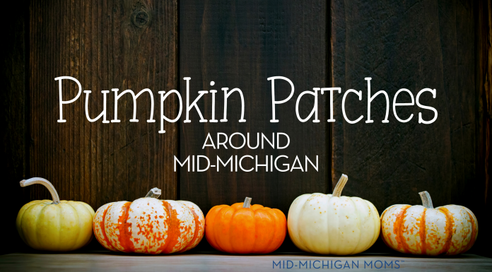 Mid-Michigan Moms’ Guide to Pumpkin Patches pumpkin patches