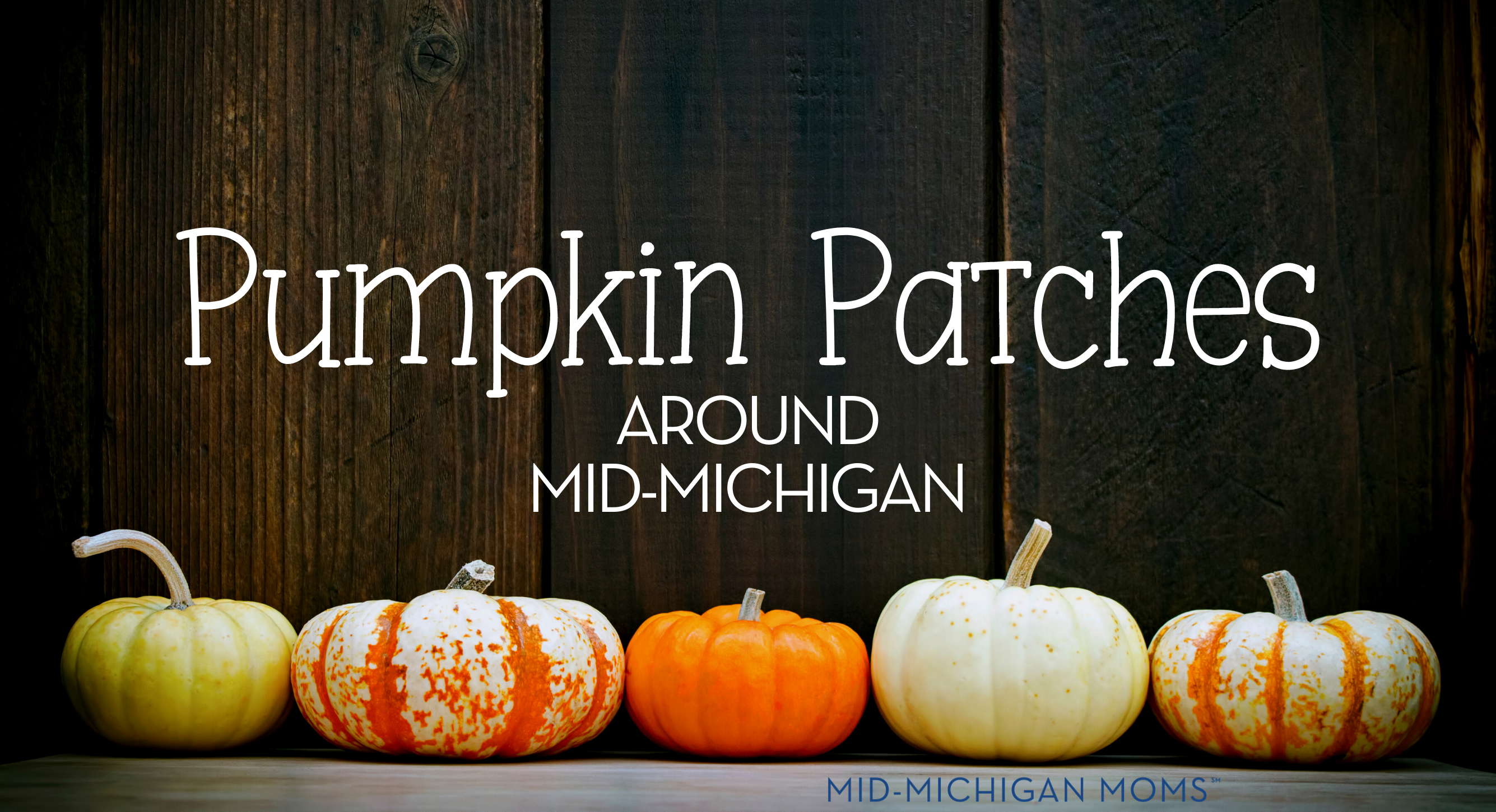 Pumpkin Patches In and Around the Mid Michigan Area