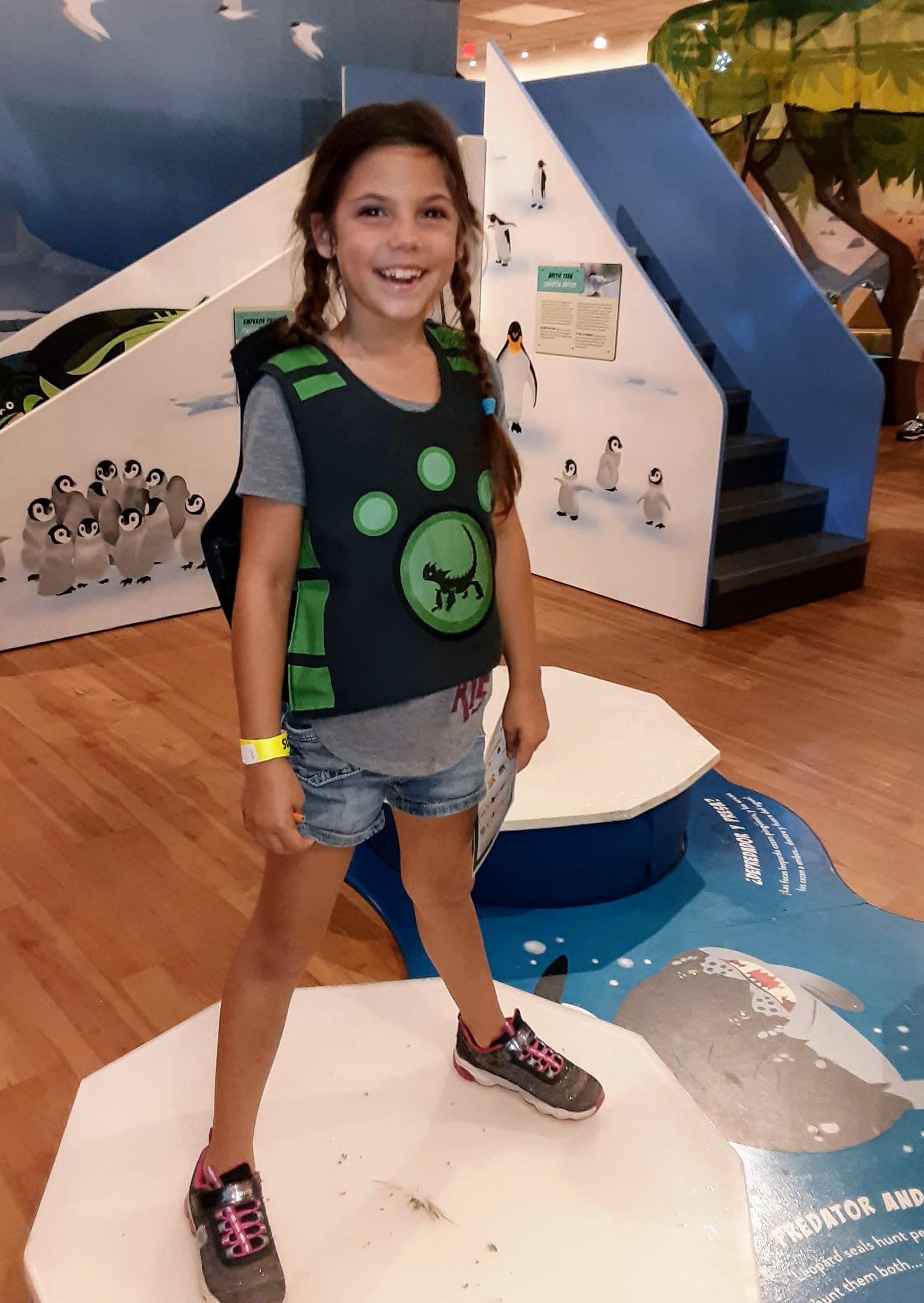 Wild Kratts®