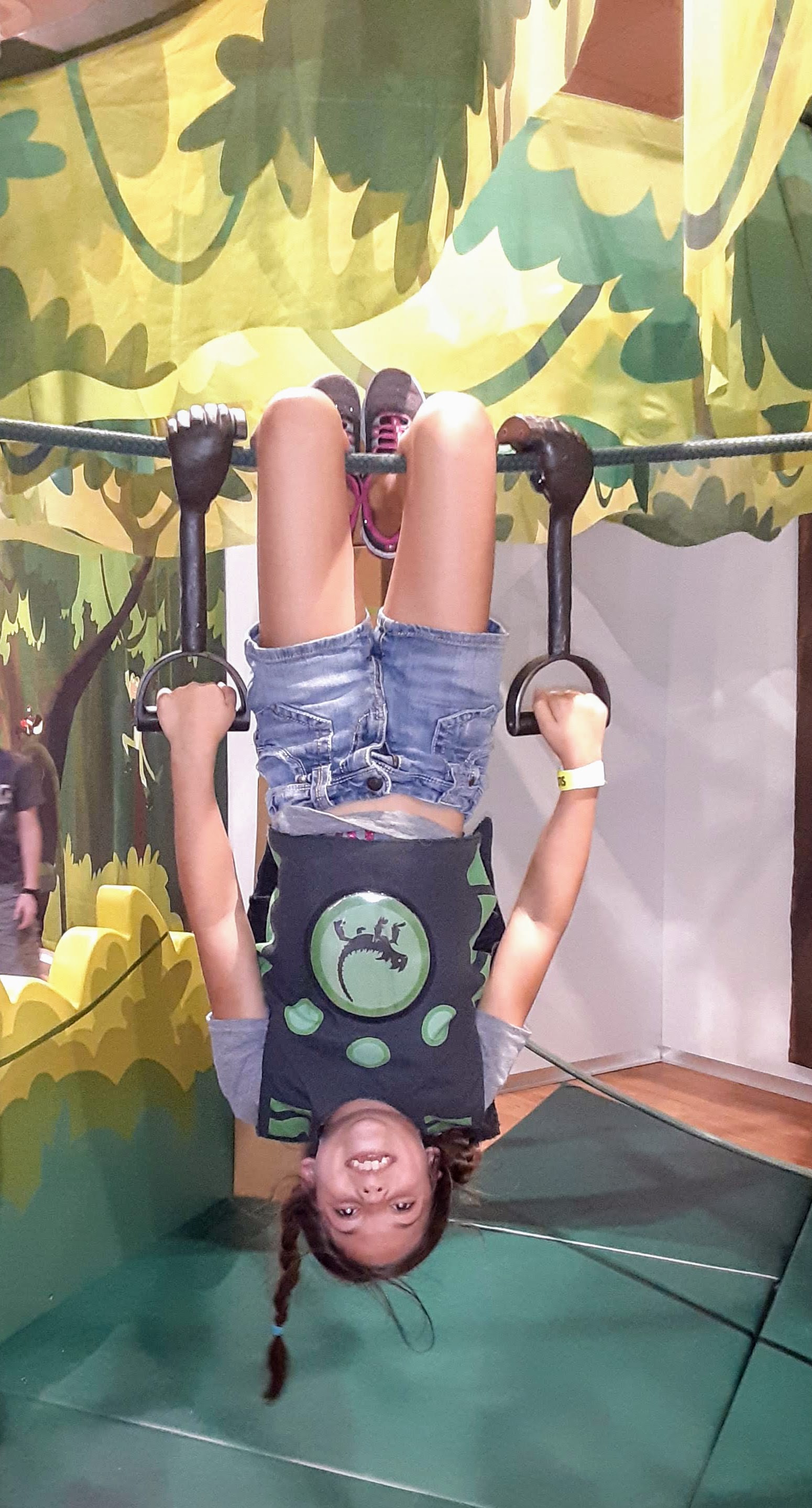 Wild Kratts®