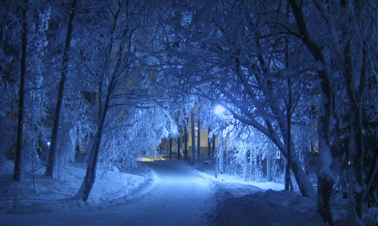 holiday, hurt, grief holiday hurt, winter path at night