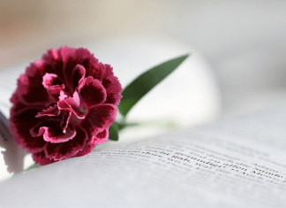 What to Read When a Loved One Dies: Book Picks from a Librarian Mama