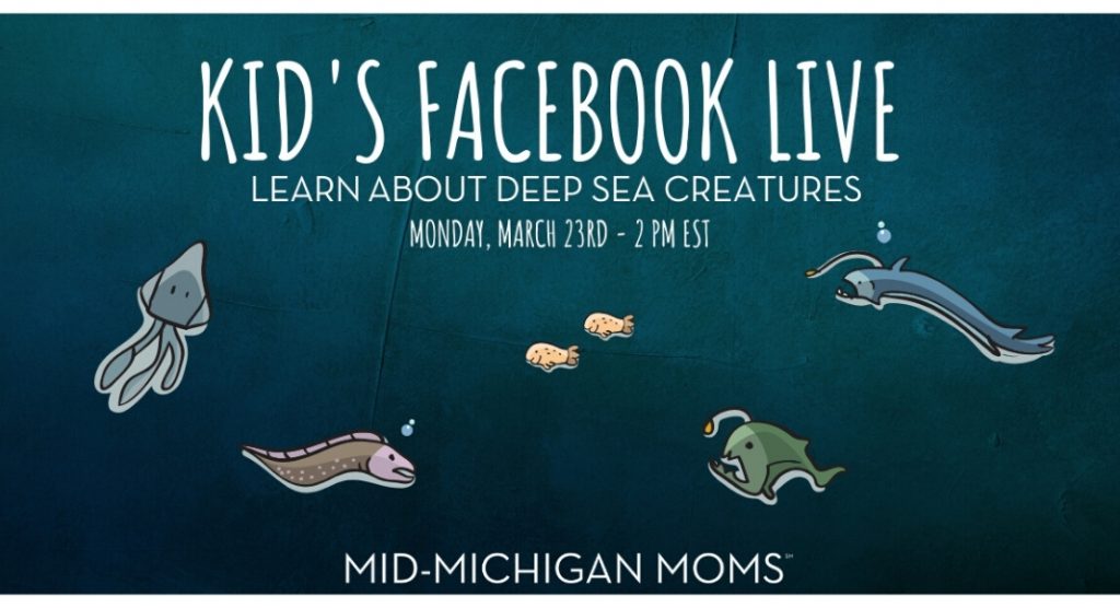 deep sea creatures