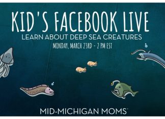 Learn About Deep Sea Creatures – Kid’s Facebook Live deep sea creatures