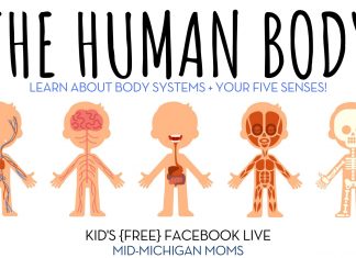 Learn About The Human Body – Kid’s Distance Learning Facebook Live human body
