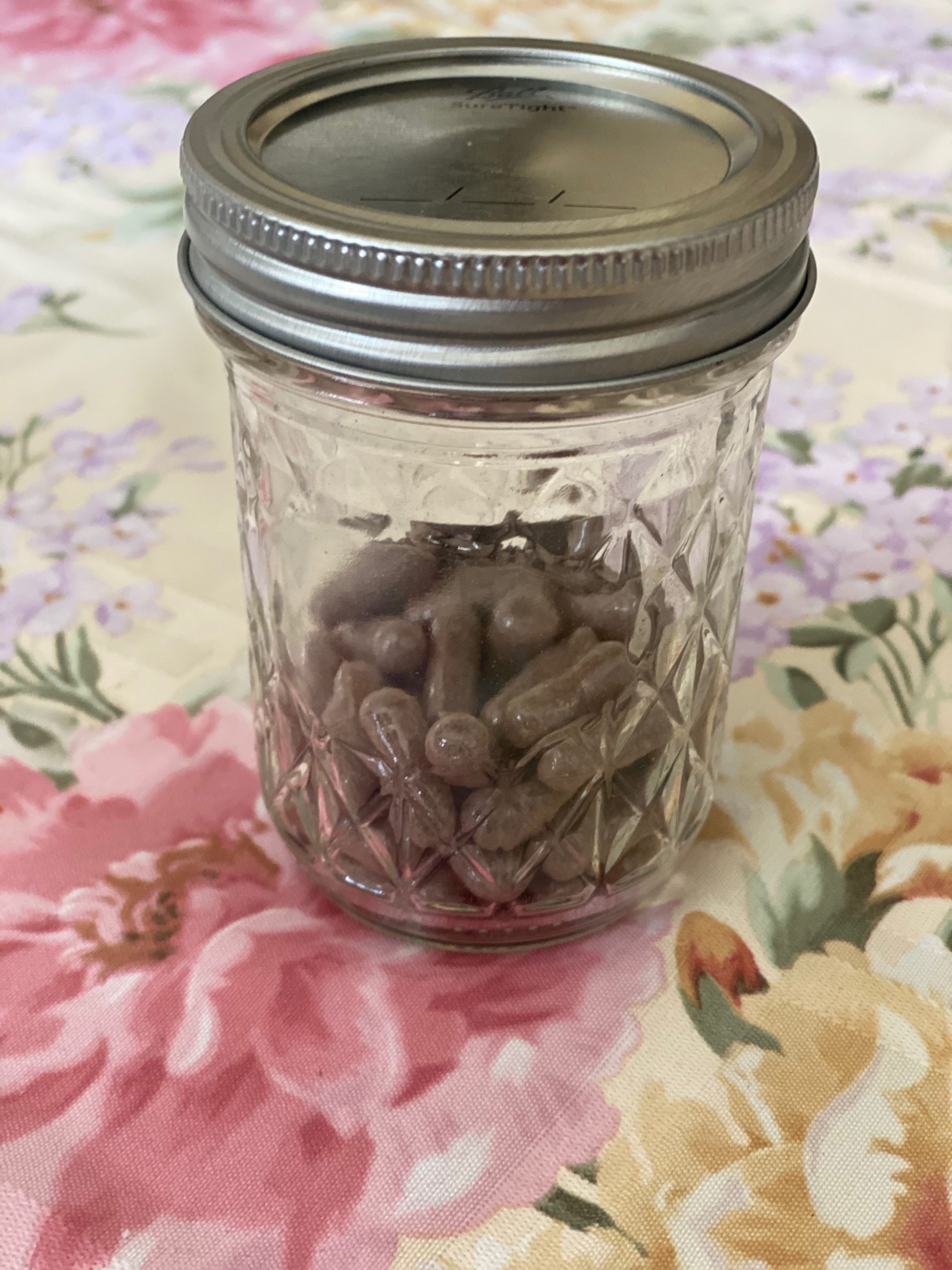 encapsulated placenta