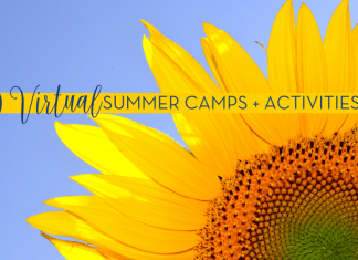 Virtual Summer Camps + Activities | Mid-Michigan Moms