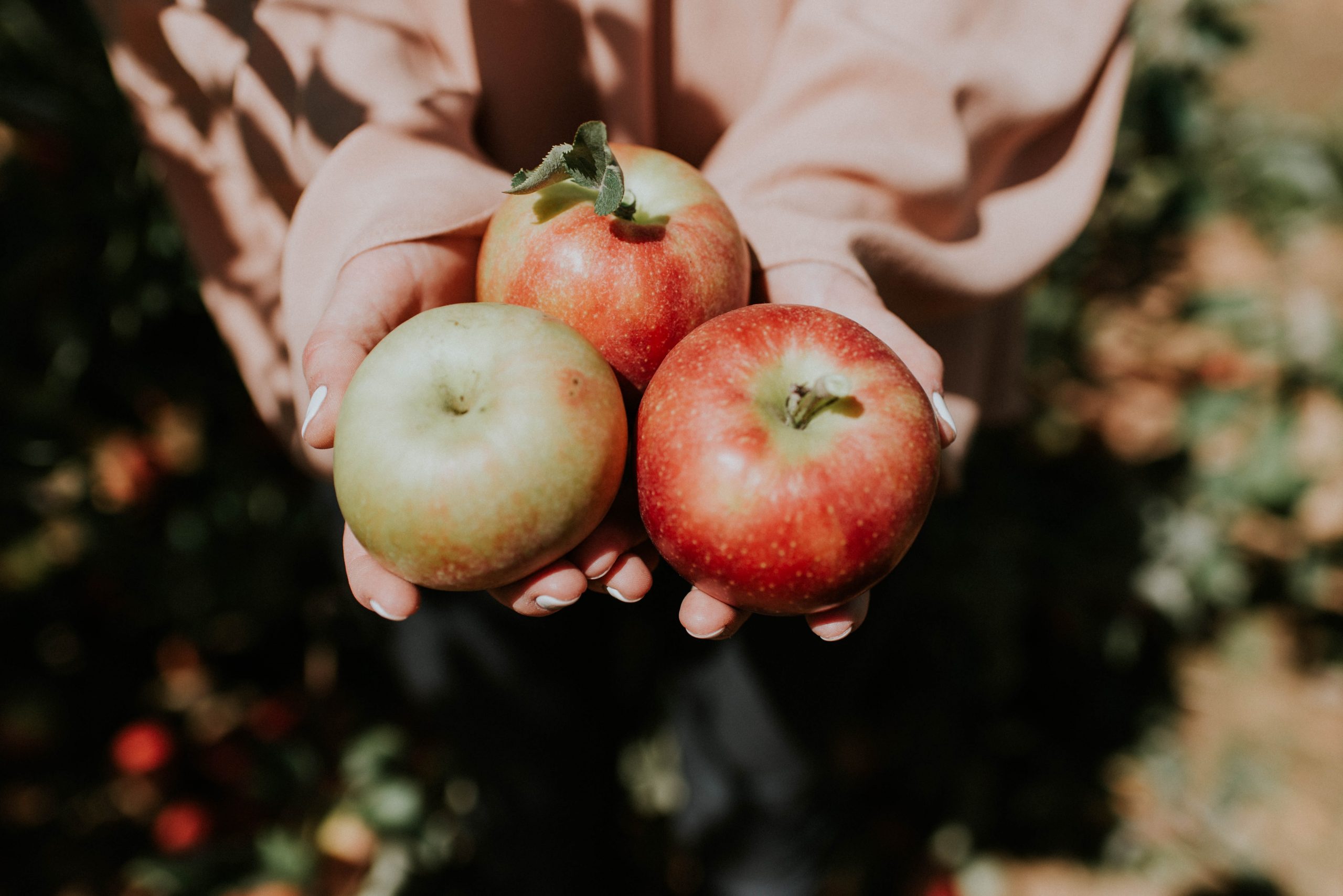 food label, GMO, gluten-free, crops, farming woman holding 3 apples in a crop