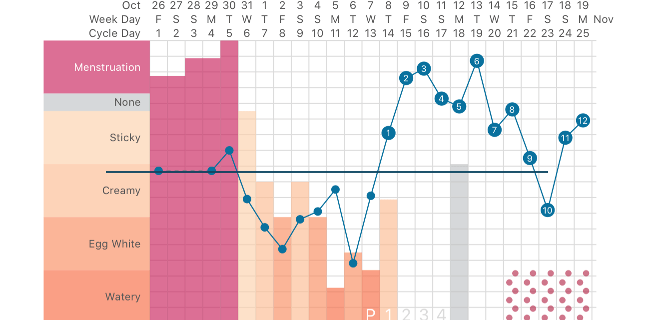 Fertility Awarness Method, natural birth control charting
