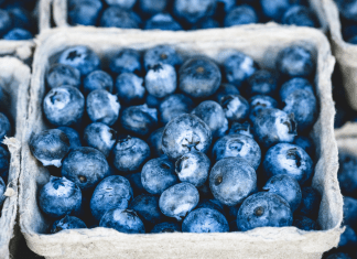 Top 3 Quick, Easy, and DELICIOUS Recipes For Your U-Pick Blueberries