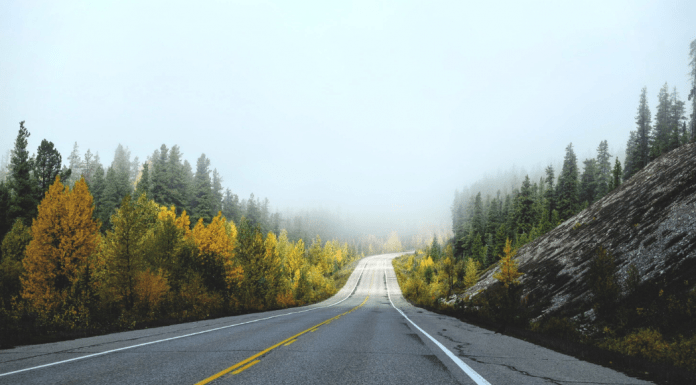 Long Distance Loss: Dealing with Grief from 1000 Miles Away