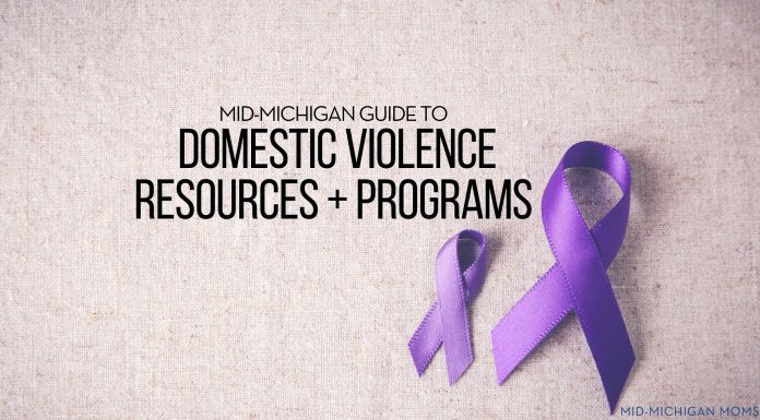 Mid-Michigan Guide to Domestic Violence Resources + Programs domestic violence