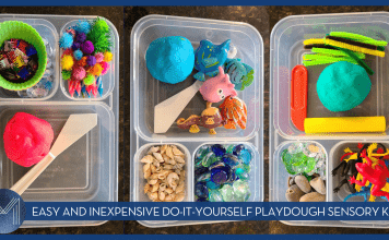 Easy AND Inexpensive Do-It-Yourself Playdough Sensory Kits sensory kits