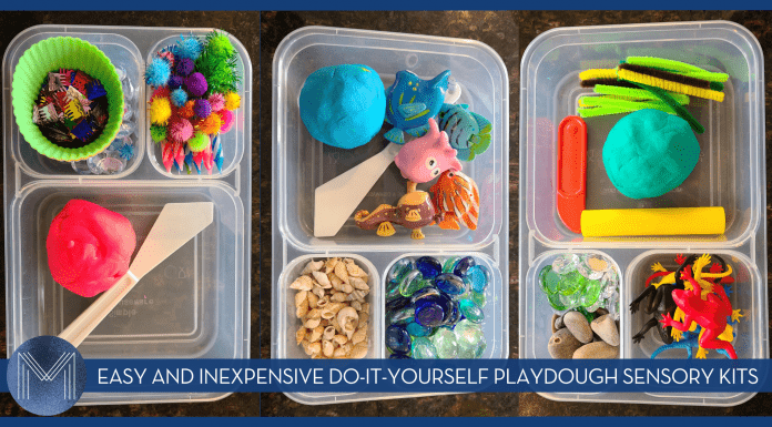 Easy AND Inexpensive Do-It-Yourself Playdough Sensory Kits sensory kits