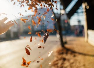 Even During a Pandemic, There Are Still Many Reasons to be Thankful