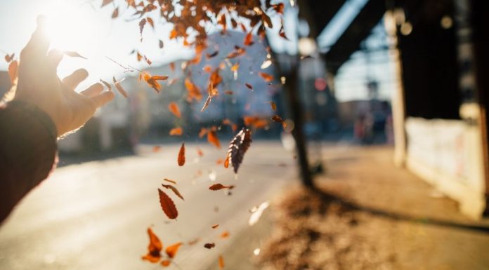 Even During a Pandemic, There Are Still Many Reasons to be Thankful