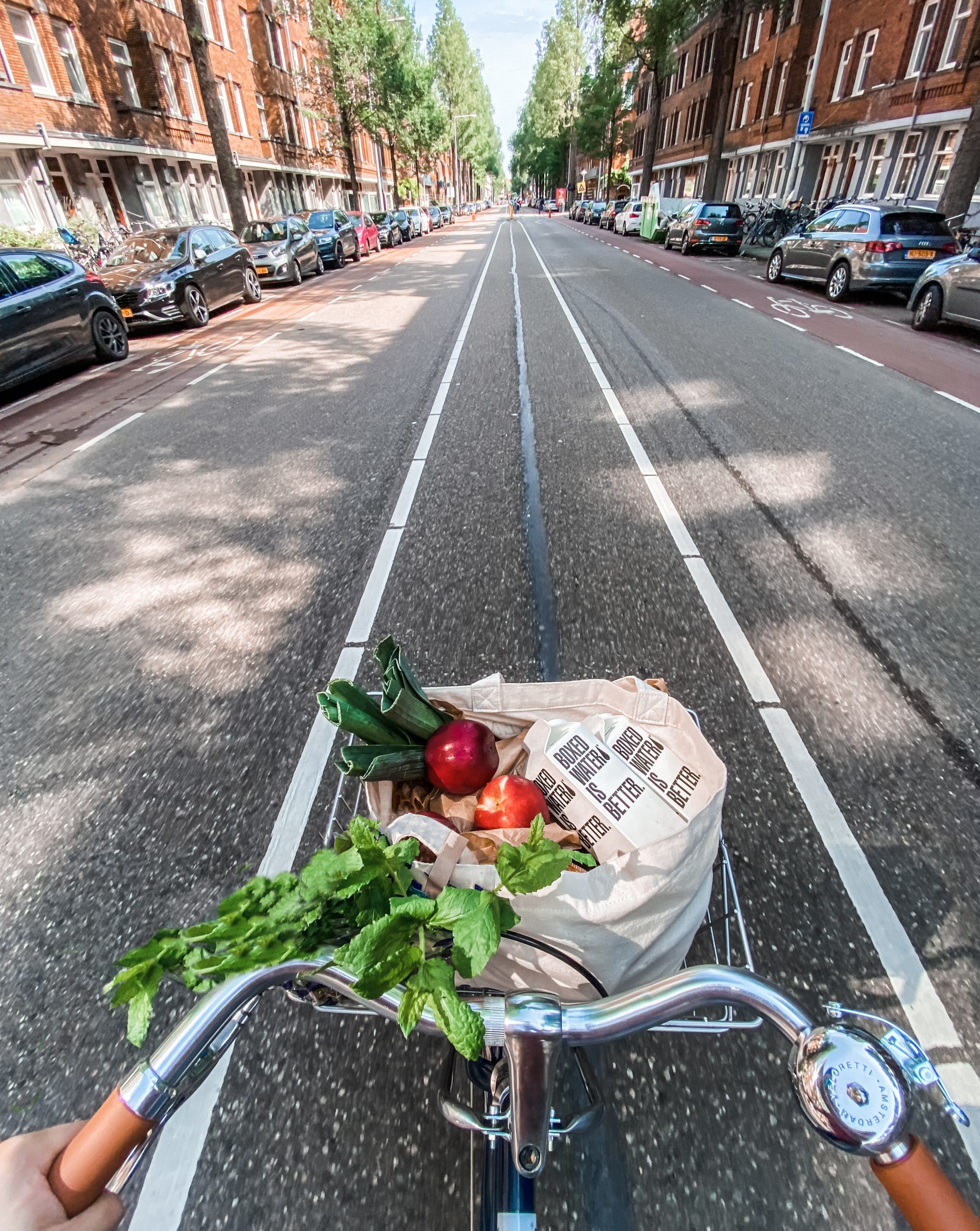 food in a bike basket