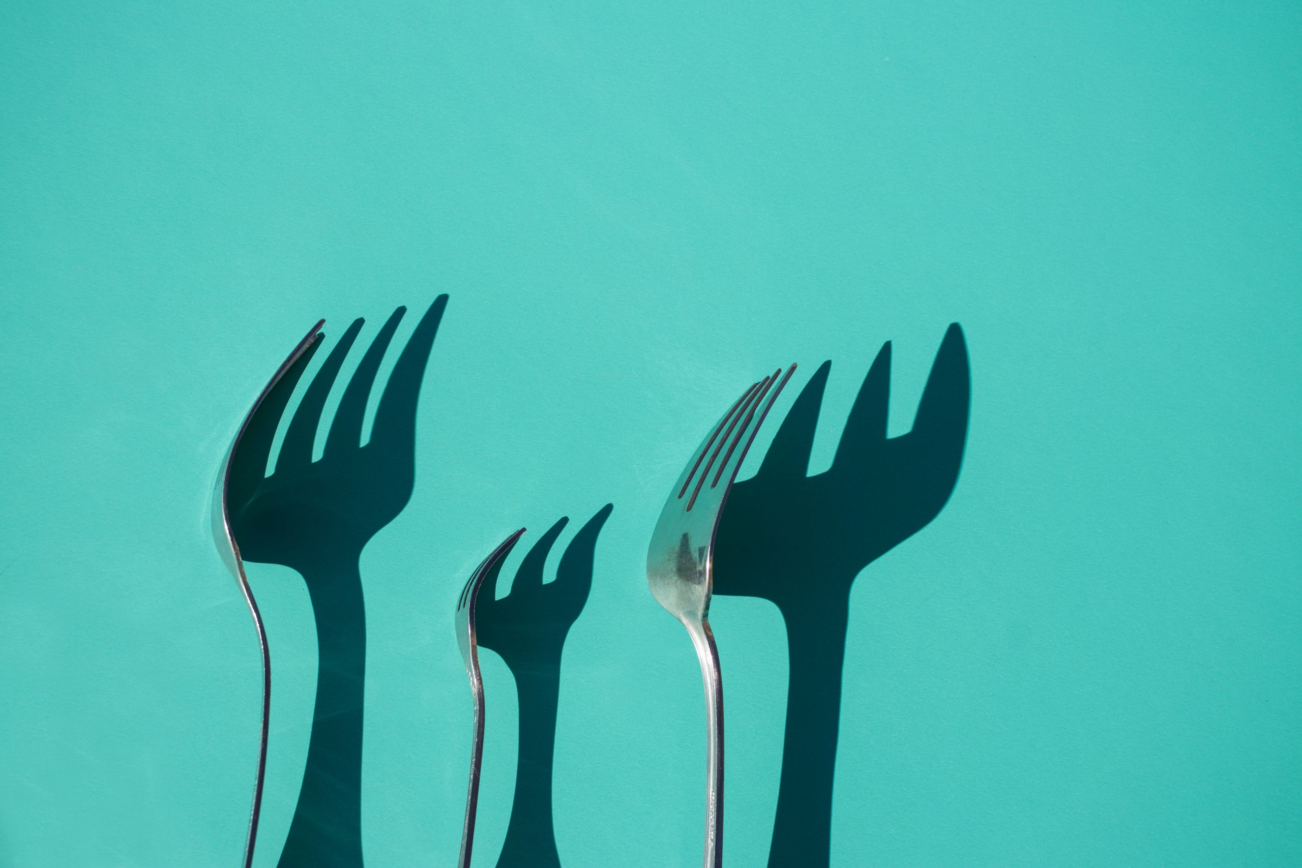 forks for eating food