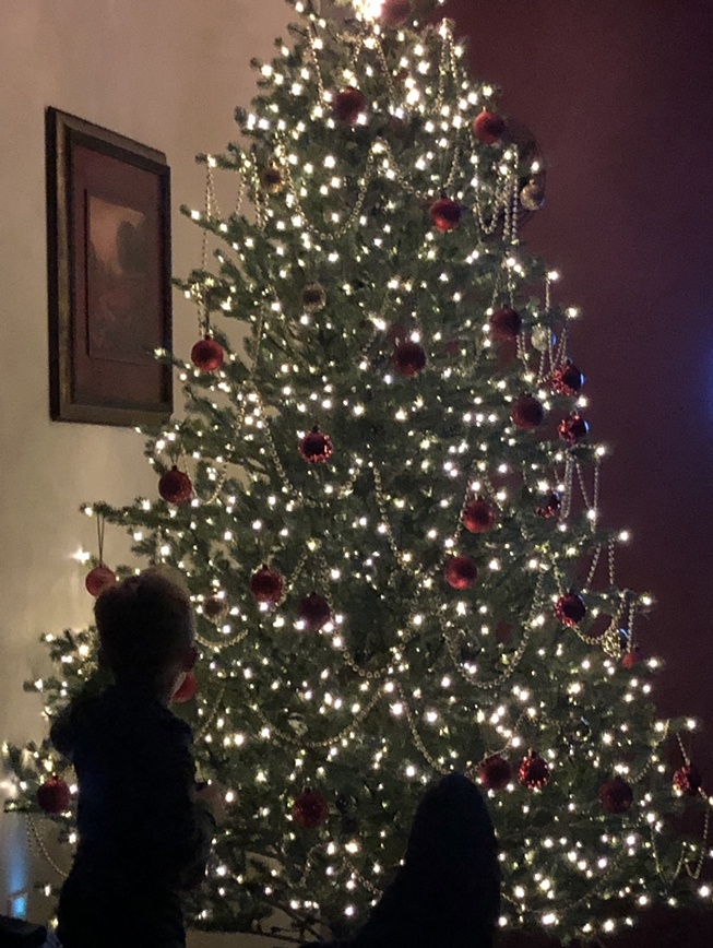 Christmas Decorations