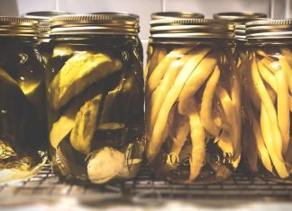 Homesteading Tips from an Amateur Homesteader