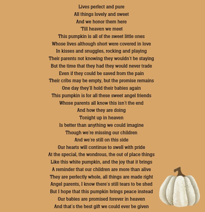 white pumpkin project