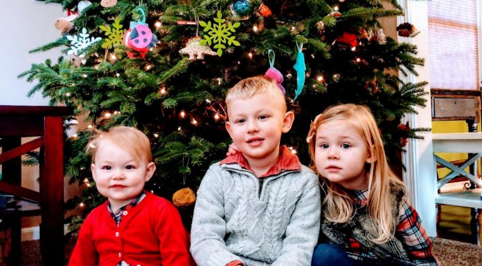 Live Christmas Tree Tips and How to Not Kill It christmas tree