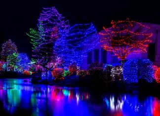 Michigan’s Best Drive Thru Christmas Light Displays Michigan's Best Drive Thru Christmas Lights