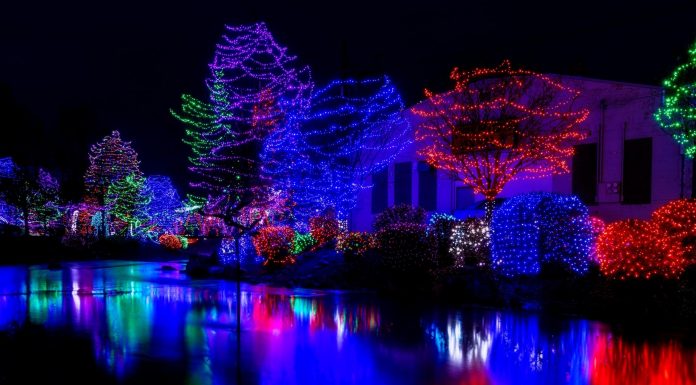 Michigan’s Best Drive Thru Christmas Light Displays Michigan's Best Drive Thru Christmas Lights