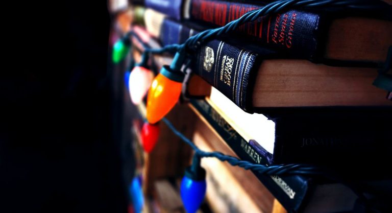 Buy Local + Support Michigan Authors this Holiday Season