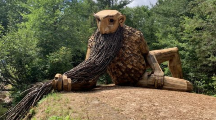 An Upper Peninsula Must-See: Benny The Beard Fisher – The Thomas Dambo Troll troll