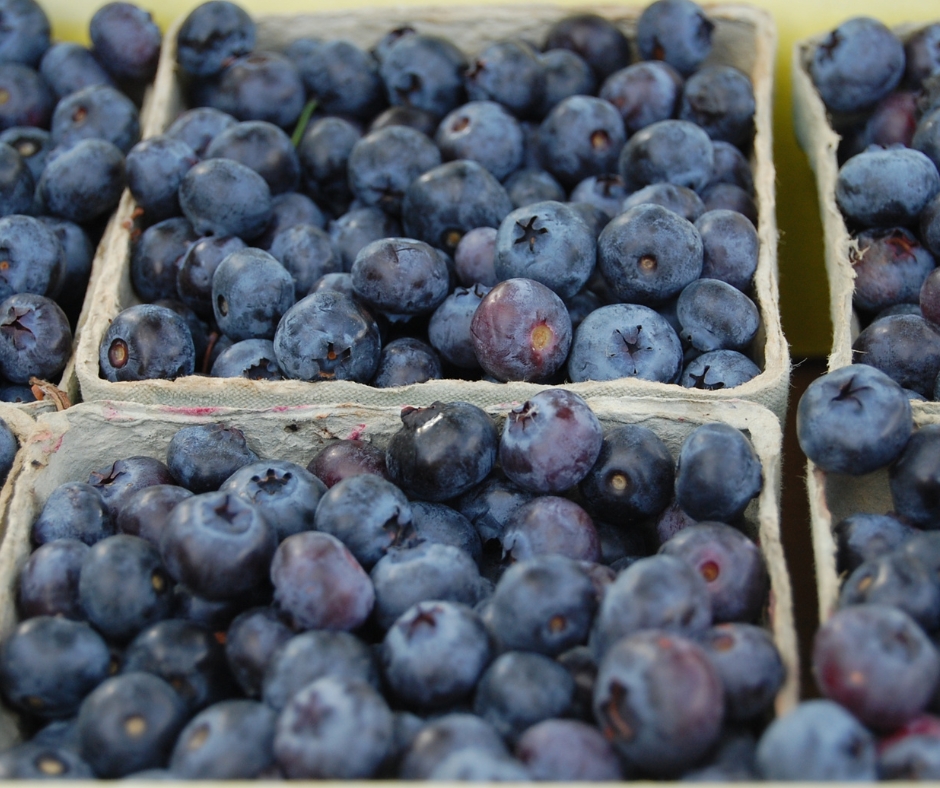 MICHIGAN BERRY PICKING