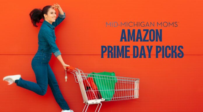 amazon prime day picks 2024