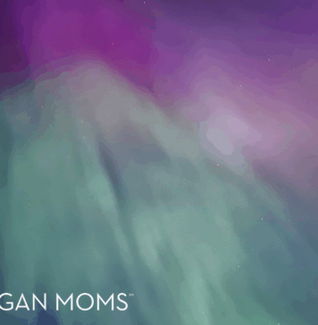 A Mom’s Guide to Chasing the Northern Lights… and Finding a Little Magic Along the Way! northern michigan lights